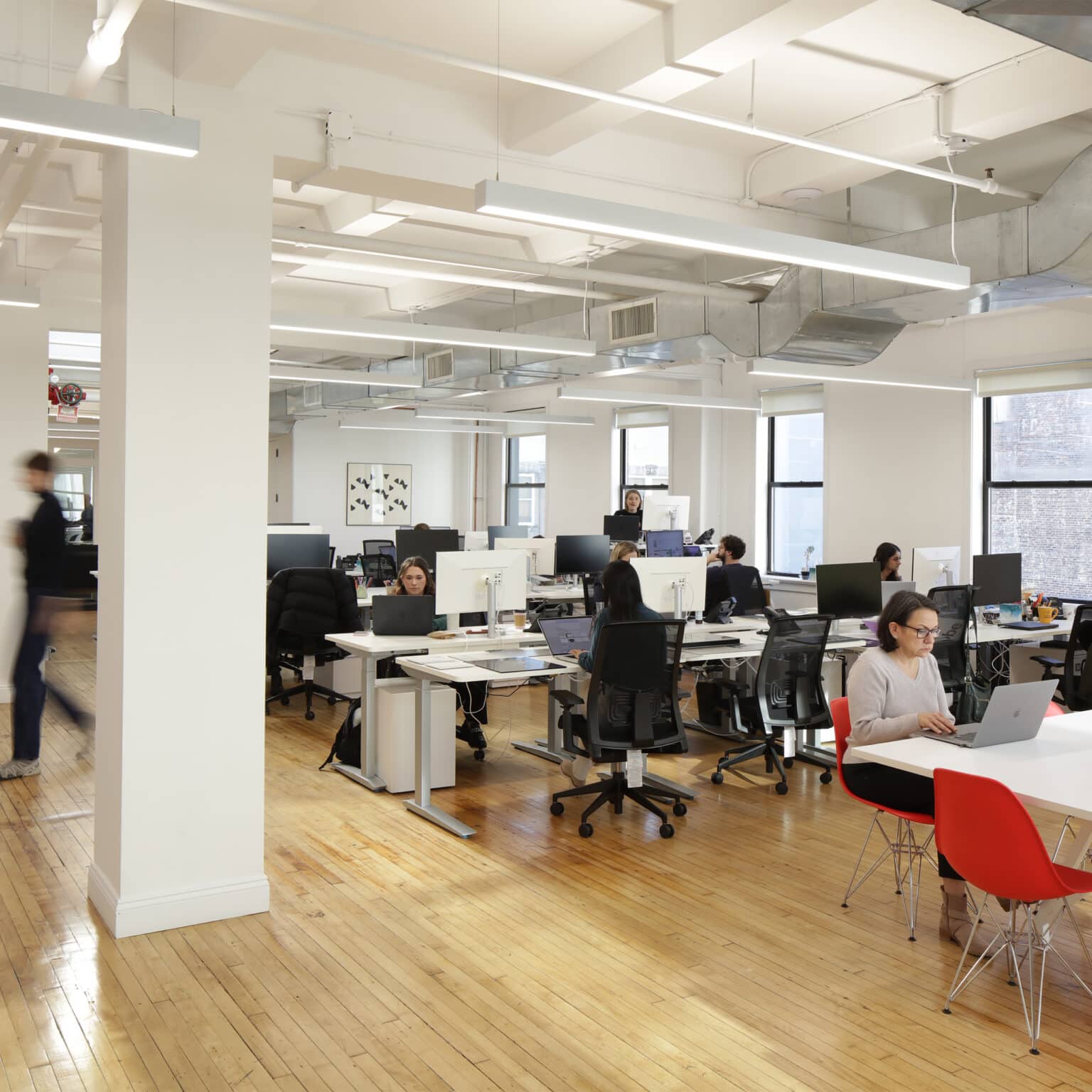 Senior Designer